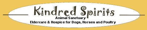 Kindred Spirits Animal Sanctuary